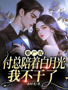 难产夜,付总陪着白月光,我不干了全文免费阅读