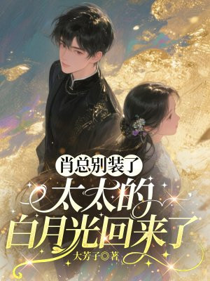 肖总别装了,太太的白月光回来了全文免费阅读